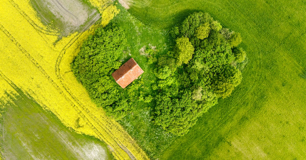 Environmental Considerations in Flat Roof Repairs