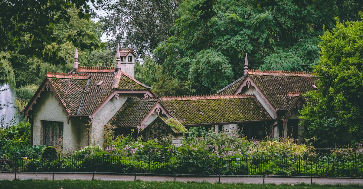 How to Prevent Gutter Clogs and Blockages