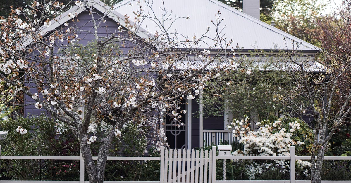 Professional Gutter Repair Services: What to Expect